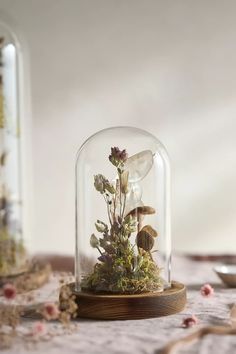 a glass clochet with flowers and mushrooms in it sitting on a table next to other items