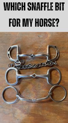 Snaffle bits. Text reads “which snaffle bit for my horse?” Bits For Horses, Western Horses, Horse Care Tips, Horse Riding Tips, Snaffle Bit, English Horse, Horse Things, Western Riding