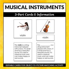 musical instruments 3 - part cards and information for violin, violin, violin / violin