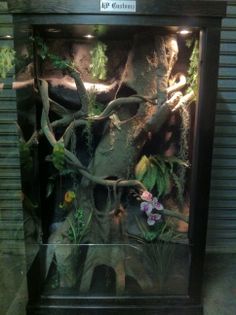 a display case with plants and rocks in it