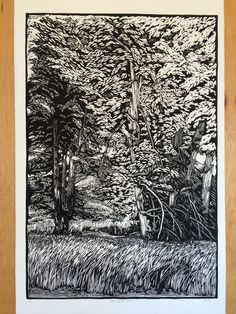 a black and white drawing of some trees in the woods with tall grass on either side