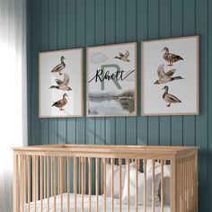 two framed pictures hang above a crib in a baby's room with ducks on the wall