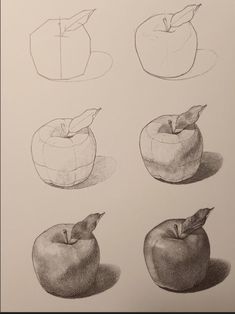 four different types of apples are shown in this drawing