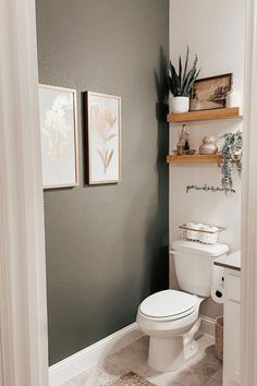 a white toilet sitting in a bathroom next to a wooden shelf filled with potted plants