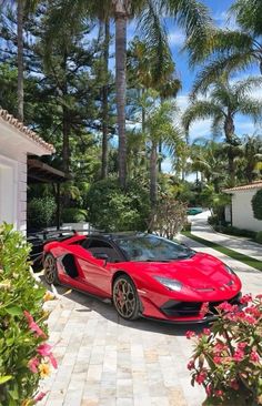 a red sports car parked in front of a palm tree lined driveway next to a house