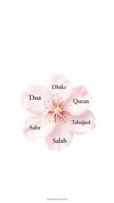 the names of different flowers on a white background with words in english and arabic written below