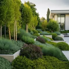 20 Modern Garden Design Ideas: Perfect Plants and Layouts Modern Garden Design Ideas, Modern Gardening, Courtyard Plants, Modern Garden Landscaping, Contemporary Garden Design, Small Courtyard Gardens, Modern Garden Design, Garden Design Ideas, Landscape Architecture Design