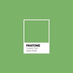 pantone's green color is shown in this graphic style, with the word pantone on it