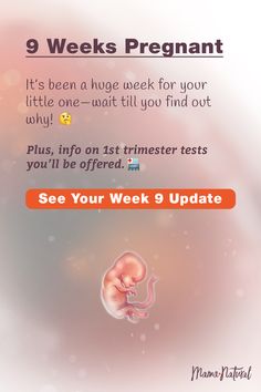 13 Weeks Pregnant Belly, Pregnancy Trimester, First Trimester Pregnancy