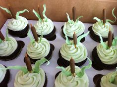 cupcakes with white frosting and green sprinkles in a box