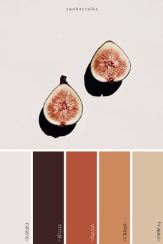 a rich, warm palette inspired by sweet figs and fresh seasonal fruit. Orange And Beige Color Palette, Burnt Orange Colour Scheme, Color Palette With Burnt Orange, Burnt Orange Pallet Colour Palettes, Burnt Color Palette, Brown And Beige Palette, Burnt Orange Color Scheme Living Room, Fig Colour Palette, Colour Palette Burnt Orange