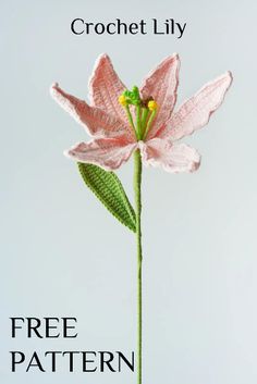 a crochet lily is shown with the words free pattern on it and an image of