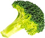 a piece of broccoli on a white background