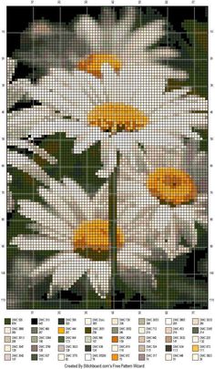 the cross stitch pattern shows white daisies with yellow centers