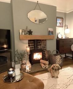 a dog is sitting in front of the fire place