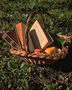 a basket filled with books and fruit sitting on top of a grass covered field next to trees