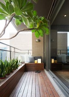 a wooden deck with potted plants on it next to a glass door and window