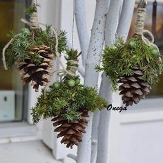 three pine cones are hanging from a pole