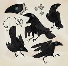 four black birds with blue eyes and beaks