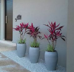 three large vases with plants in them sitting on the side of a building next to a door