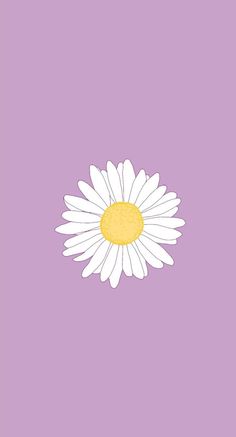 a white daisy on a purple background