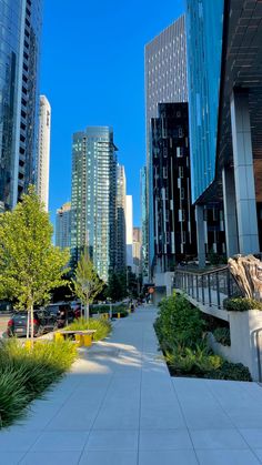 an empty walkway in the middle of a city with tall buildings and trees on both sides