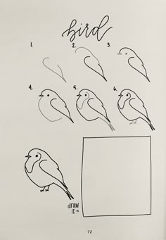 an image of birds that are drawn in different ways with numbers and words on them