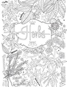 an adult coloring book with flowers and leaves on the cover, in black and white