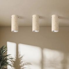 three lights are hanging from the ceiling above a potted plant