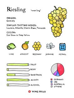 a poster with different types of food and words on it, including grapes, lemons, watermelon, celery,