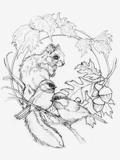 a drawing of two birds and a squirrel