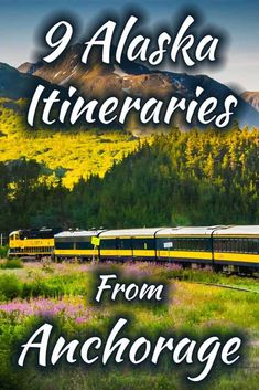 a train traveling through a lush green forest filled with trees and mountains in the background