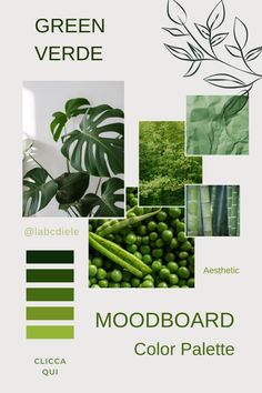 the green color scheme for mood board is shown in several different colors and shapes, including leaves