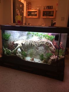 a dinosaur skeleton in an aquarium with plants and rocks on the bottom shelf, next to it is a fish tank