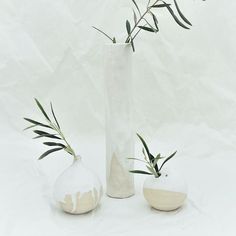 two white vases with plants in them on a tableclothed surface, one is empty and the other has green leaves