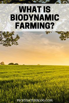 an open field with the words what is biodynalic farming? on it