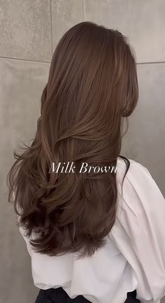 Coco Brown Hair, Milk Beige Hair Color, Layers Korean, Blow Hair, Hair Color Asian, Korean Hair Color, Brown Hair Looks, Brown Hair Inspo