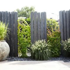 an outdoor garden area with various plants and wooden fence in the background, along with stone pavers