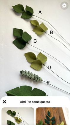 the instructions for how to make felt flowers with leaves and stems in different stages of development