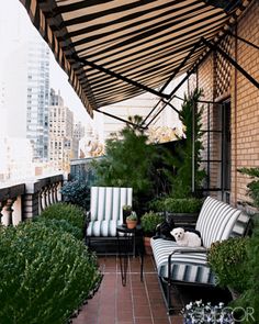 an outdoor covered patio with chairs and plants on the floor, in front of a brick building