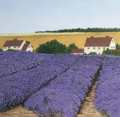 a painting of lavender fields with houses in the background