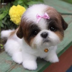 a small brown and white dog with a pink bow on its head sitting in front of flowers