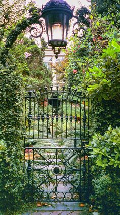 an iron gate in the middle of a garden with green bushes and trees around it