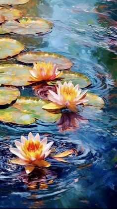 two water lilies floating on top of a body of water