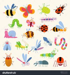 colorful bugs and insects on white background