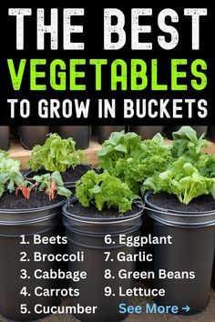 the best vegetables to grow in buckets