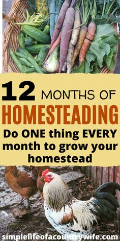 chickens, carrots and broccoli in a basket with text overlay reading 12 months of homeseading do one thing every month to grow your