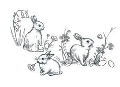 three rabbits sitting in the grass with flowers and butterflies around them on a white background