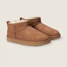 Brand New Chestnut Color Uggs Ultra Mini, Ugg Ultra Mini Boots, Uggs Mini, Ultra Mini Ugg, Ultra Mini Uggs, Ultra Mini Boots, Ugg Mini Boots, Brown Ugg Boots, Ugg Ultra Mini