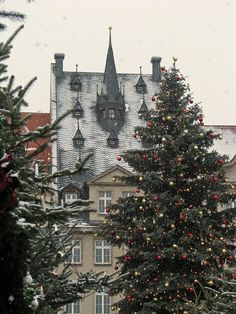 a large christmas tree in front of a building with a clock tower on it's side